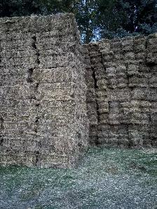 Flax Bales- Stony Mountain Area - Photo 3