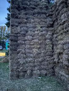 Flax Bales- Stony Mountain Area - Photo 5