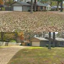 Affordable Leaf Cleanup – Barrie