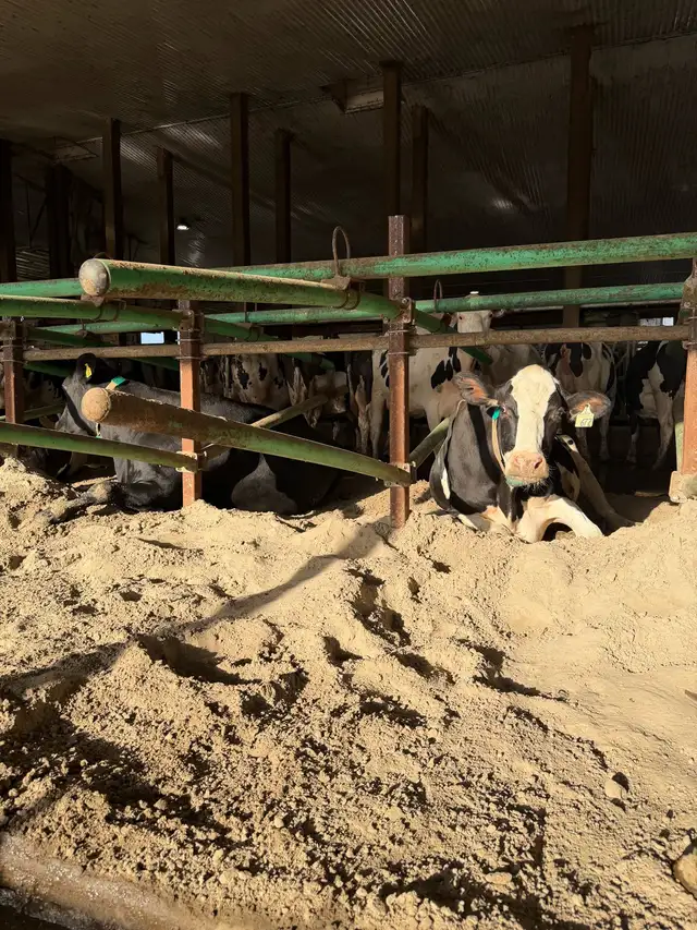 general farm labourer