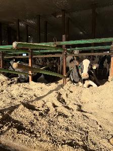 general farm labourer