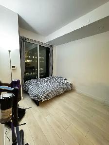 Furnished 1bed at Yonge & Eglinton (subway-connected) - Photo 3