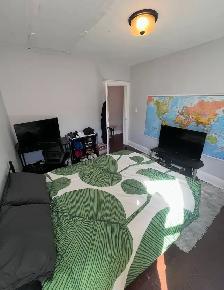 large bedroom in 3 bedroom parkdale house - Photo 7
