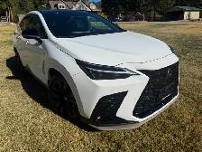 2024 Lexus NX 350 F SPORT Series 2 – Mint Condition – Loaded - Photo 3