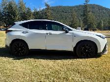 2024 Lexus NX 350 F SPORT Series 2 – Mint Condition – Loaded - Photo 4