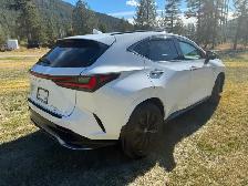 2024 Lexus NX 350 F SPORT Series 2 – Mint Condition – Loaded - Photo 5