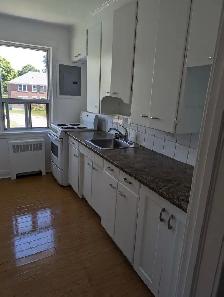 Large 1-Bed Apt for Rent in Oshawa near Costco - Photo 3
