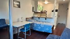 Downtown Near McGill All Included Furnitured Studio for Rent !! - Photo 2