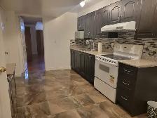 Basement Room Rental - Scarborough - Photo 6