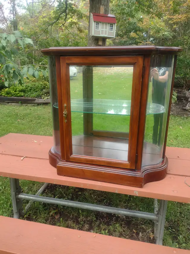 Beautiful beveled glass display cabinet with lights