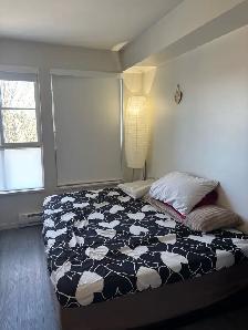 1 bedroom 1 bath in a 2 bedroom