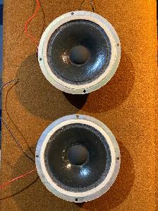 WHARFEDALE midrange pair