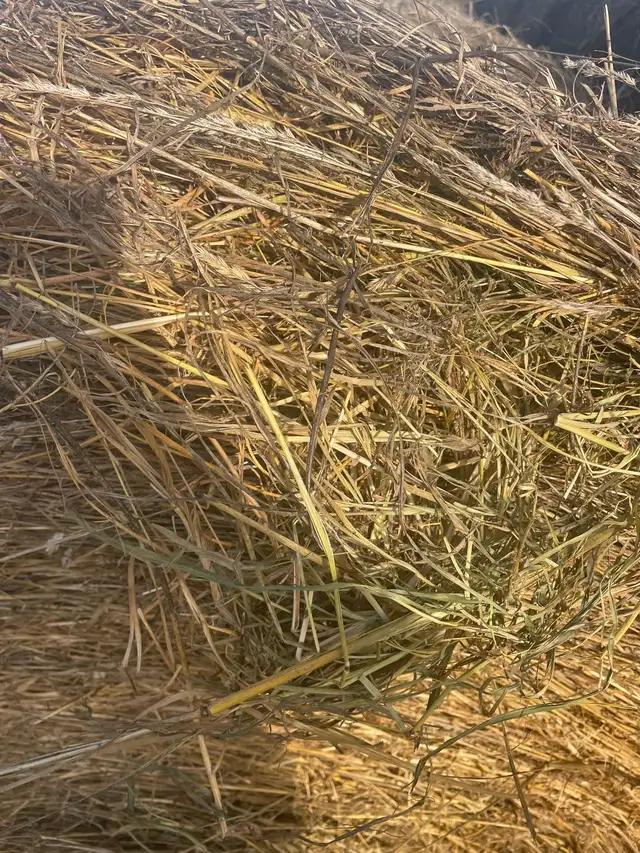 Hay Bales
