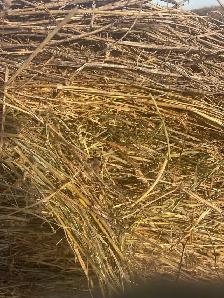 Hay Bales - Photo 2
