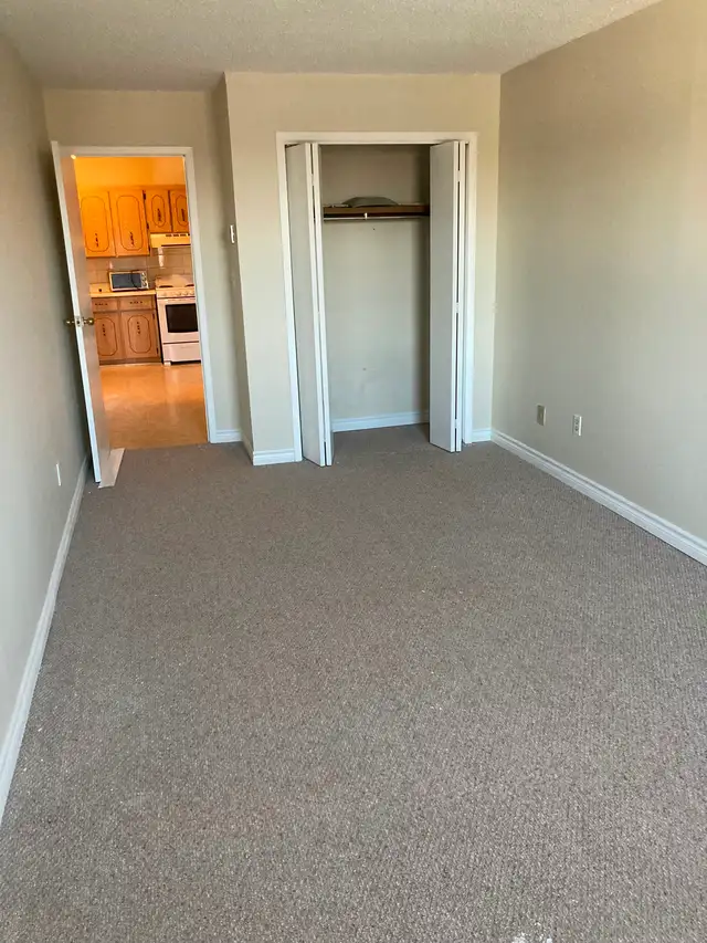 MOUNT FOREST....1 large apartment Dec 1st