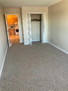 MOUNT FOREST....1 large apartment Dec 1st