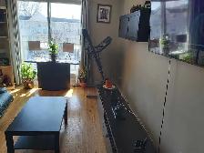 Grand 4 1/2 bien eclairer - Photo 7
