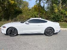 2022 Ford Mustang - Photo 2