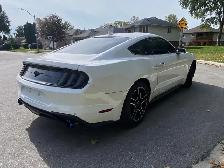 2022 Ford Mustang - Photo 6