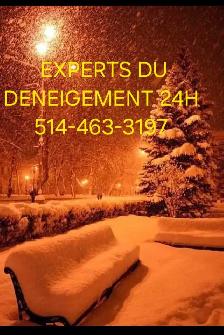 RECHERCHE PELLETEUR AVEC AUTO - Photo 2