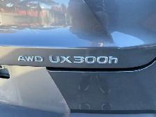 2025 Lexus UX UX 300h CVT, PREMIUM PACKAGE, NO ACCIDENT - Photo 8