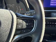 2025 Lexus UX UX 300h CVT, PREMIUM PACKAGE, NO ACCIDENT - Photo 15