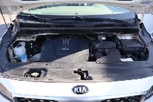2016 Kia Sedona - Photo 30