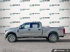 2022 Ford Super Duty F-350 SRW XLT 4WD Crew Cab 8' Box - Photo 3