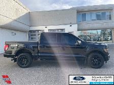 2024 Ford F-150 XLT BLACK APPEARANCE PKG. - 2.7L ECOBOOST ENGINE - Photo 4