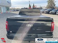 2024 Ford F-150 XLT BLACK APPEARANCE PKG. - 2.7L ECOBOOST ENGINE - Photo 6