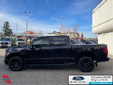 2024 Ford F-150 XLT BLACK APPEARANCE PKG. - 2.7L ECOBOOST ENGINE - Photo 8