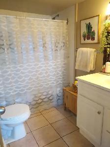 3 level gorgeous LOFT-385 Woolwich St - $2150 INCL DEC or JAN1st - Photo 5