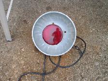 INFRA- RED BROODER LAMP - Photo 2