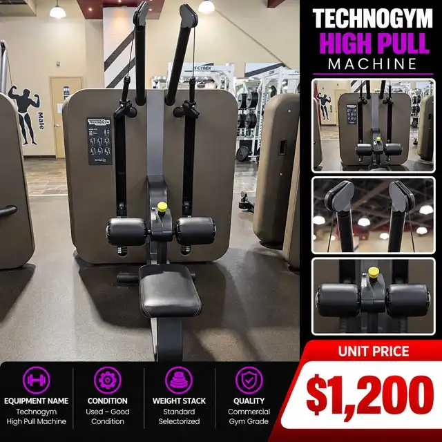 Technogym High Pull Machine