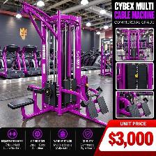 Cybex Multi Cable Machine