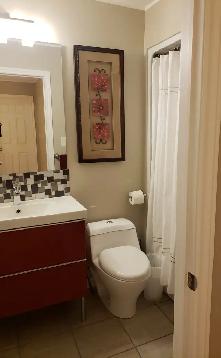New and stylish executive suits. One/two bedrooms - Photo 6