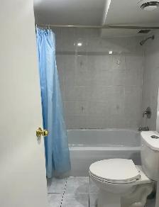 Beautiful Basement Apartment for Rent at Steeles/Middlefield - Photo 6