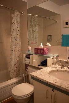 Centretown bright & spacious 3 bedroom apartment - Photo 9