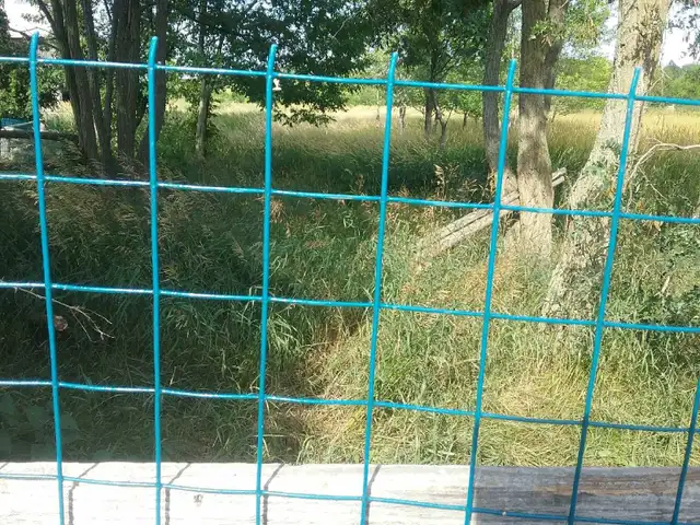 Green PVC-Coated Welded Wire Mesh Fence Rolls - New Peterborough