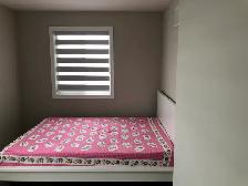 Private Room for rent