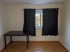 Single Room for Rent