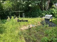 fall leaf cleanup & grass cutting - Photo 3