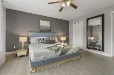 Luxury fully furnished 5 BR Plus large Den 3 Bath home for Rent - Photo 12