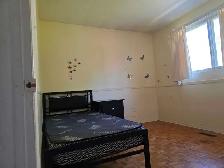 Room for Rent In Scarborough - Photo 4