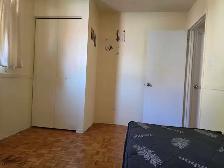 Room for Rent In Scarborough - Photo 5