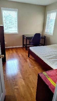 Female only- Richmond Hill room for rent - Photo 3