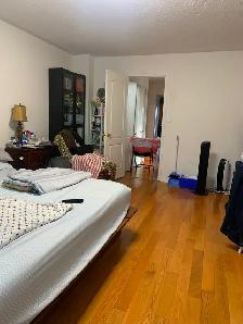 3 STOREY HOUSE FOR RENT IN YORK UNIVERSITY VILLAGE - Photo 4