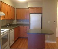 Square One condo 1 bedroom   large-size den for rent - Photo 6