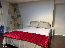 Bachelor Apartment near Sheppard West Subway Station - Photo 4