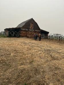 horse board - Photo 6